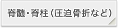 脊髄・脊柱（圧迫骨折など）